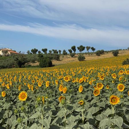 Girasole Daire San Marcello  Dış mekan fotoğraf