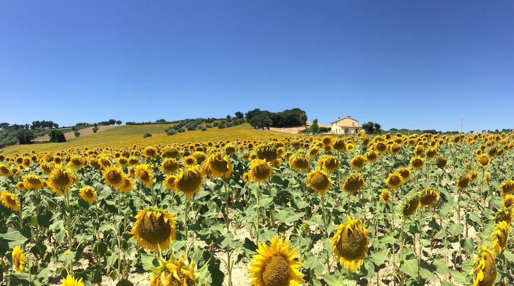 Girasole Daire San Marcello  Oda fotoğraf